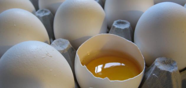 تفسير أكل البيض في المنام لابن سيرين