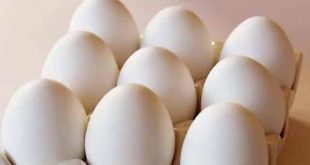 تفسير البيضة في المنام لابن سيرين وكبار العلماء