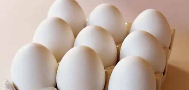 تفسير البيضة في المنام لابن سيرين وكبار العلماء