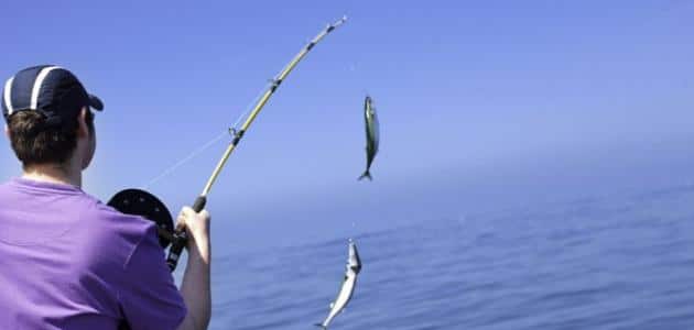 تفسير صيد السمك في المنام لابن سيرين والإمام الصادق وتفسير حلم صيد السمك بالسنارة في المنام