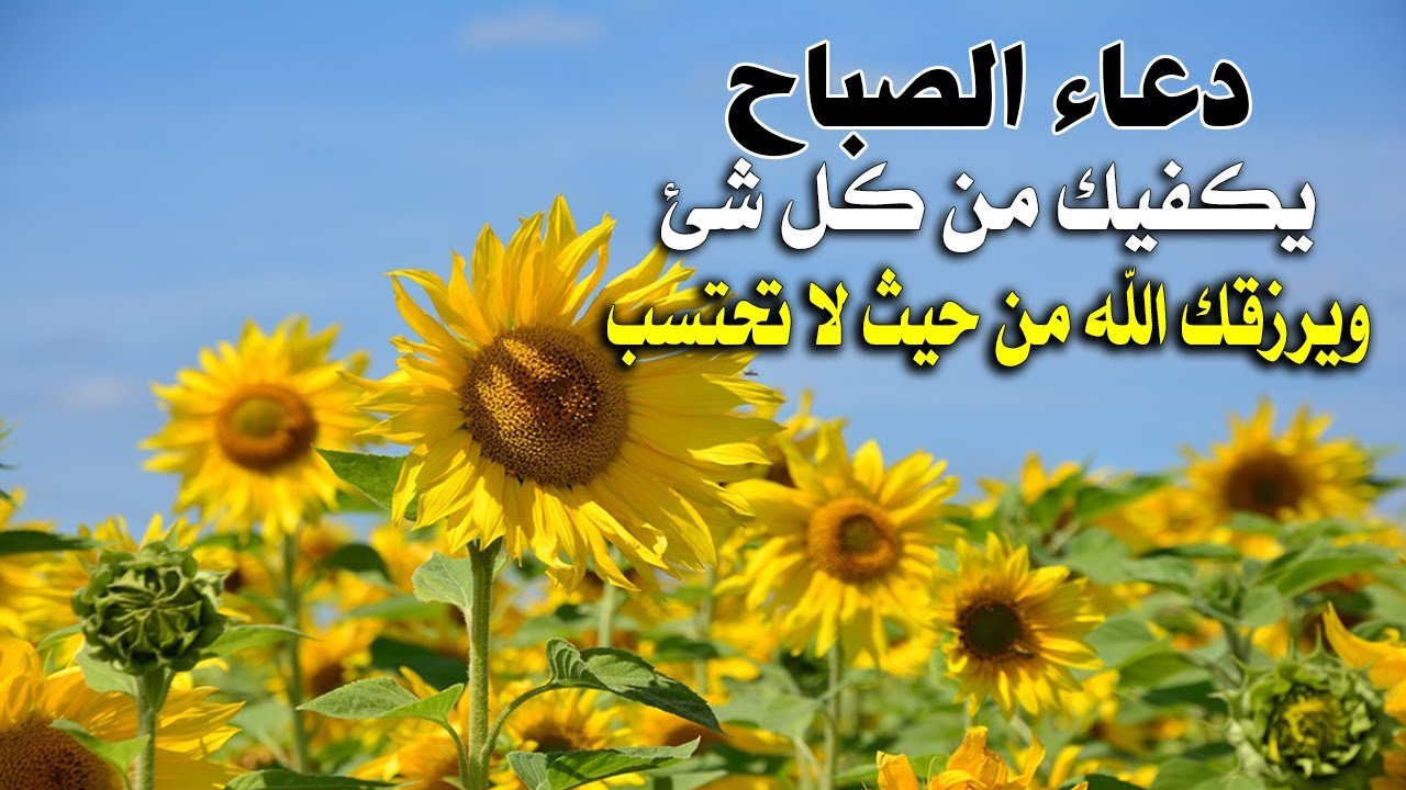 صلاة صباح الخير