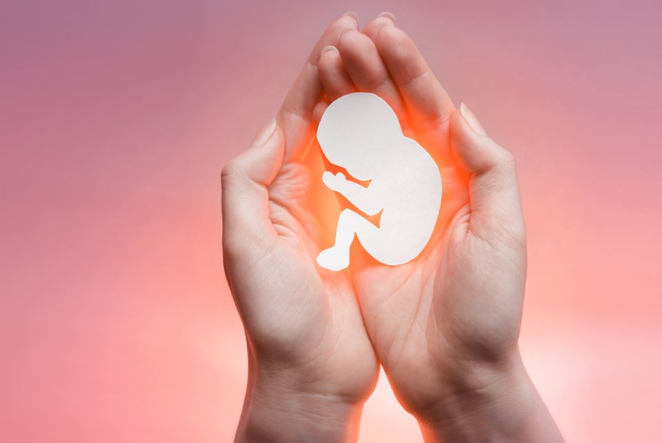 تفسير حلم إجهاض الجنين لغير الحامل لابن سيرين