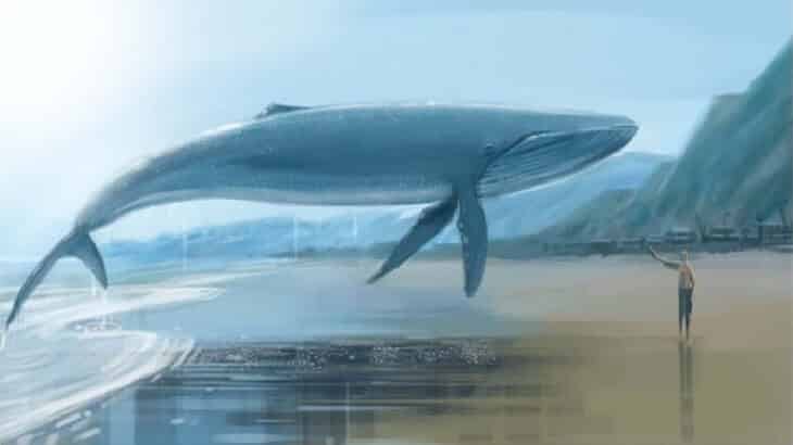 تفسير حلم الحوت الكبير في البحر لابن سيرين