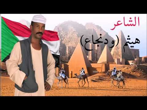 الشاعر هيثم ودانجا دوبيت في الفخر 