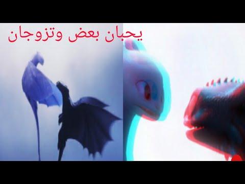 فيلم التنين فرسان قرية بيرك الجزء الثالث زواج ابو سن وزواج حزوقة من استرا 