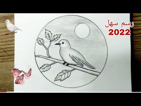 رسومات تعليم رسم عصفور سهل وبسيط على غصن شجرة بقلم الرصاص للمبتدئين تعليم الرسم رسم سهل 2022 