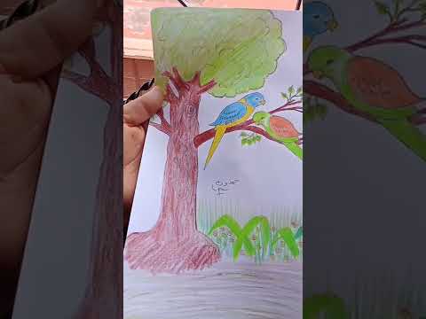 رسم عصفورين على غصن شجرة 