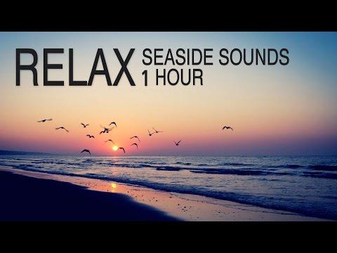 صوت البحر بدون موسيقىى صوت الامواج صوت البحر والطيور اصوات الطبيعة ساعة كاملة Seaside Sounds 