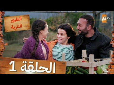 مسلسل طيور النار الحلقة 1 مترجمة للعربية كاملة HD 