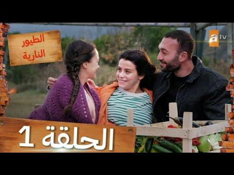 مسلسل طيور النار الحلقة 1 كاملة مترجمة للعربية Full HD 