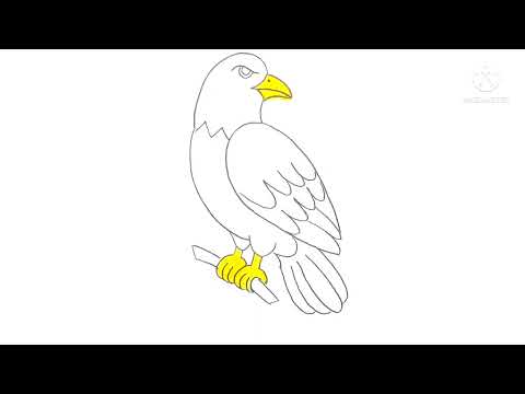 تعليم حرف الصاد رسم صقر سهل تعليم الحروف بالرسومات How To Draw Falcon 