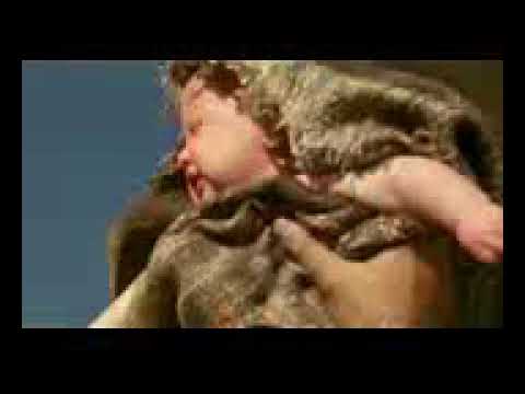 فيلم سيد الوحوش The Beastmaster مترجم كامل 