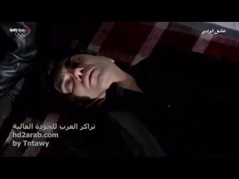 قصة مقتل و اختفاء مراد كاملة مدبلج بالعربية من واد الذئاب جزء6بجودة عالية HD 