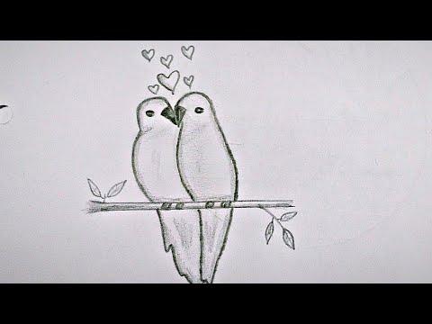 رسم عصافير في حب Draw Birds In Love 
