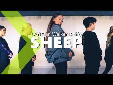 Lay Sheep Alan Walker Relift JaneKim Choreography 