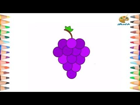 رسم عنب سهل جدا تعليم الرسم للأطفال رسومات سهلة وبسيطة رسم سهل How To Draw Grapes 
