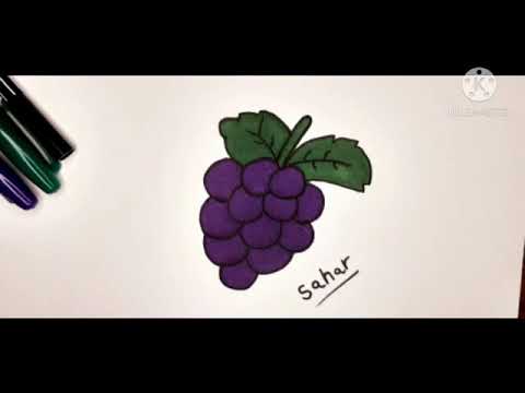 رسم عنب ببساطة و سهولة خطوة بخطوة مع التلوين للاطفال Draw Easy And Simple Grapes For Kids 