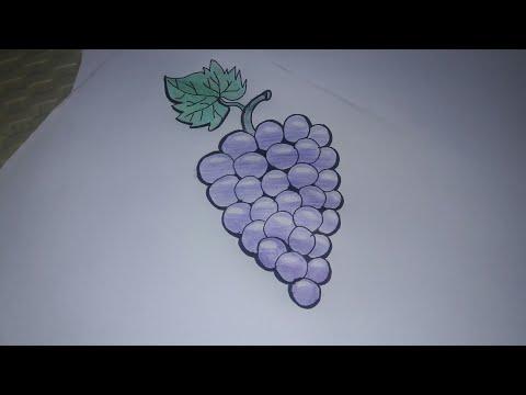 Draw A Cluster Of Grapes تعليم رسم عنقود العنب وتلوينه خطوه خطوه 