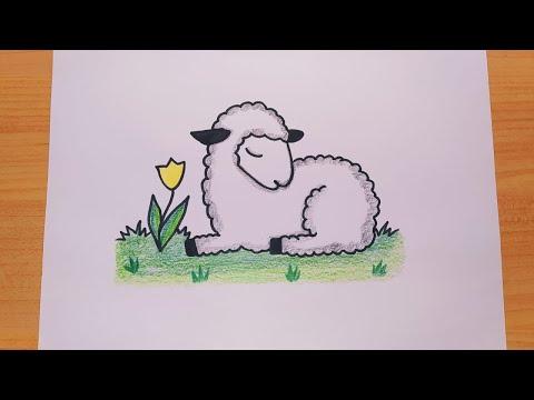 رسم للاطفال رسم خروف رسم خروف العيد رسم خروف سهل تعليم الرسم رسم سهل رسومات رسم وتلوين 
