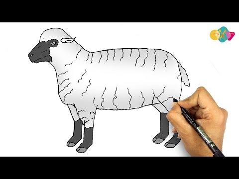 رسم خروف العيد بمناسبة عيد الاضحى المبارك 