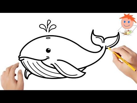 How To Draw A Whale Easy Drawings 