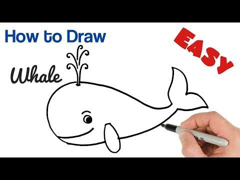 How To Draw A Whale Fo Kids Easy And Cartoon 