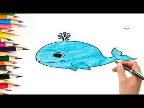 تعليم الرسم للاطفال رسم حوت كيوت Teaching Drawing For Children Drawing A Cute Whale 