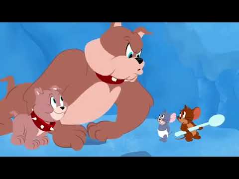 Tom And Jerry Cartoon كارتون توم وجيري 