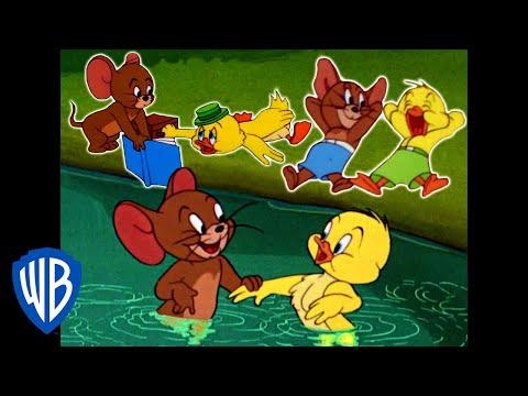 Tom Jerry Best Of Jerry And Little Quacker Classic Cartoon Compilation WB Kids 