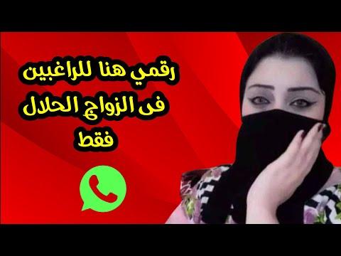 أعداد الفتيات المطلقات الراغبات في الزواج الحلال. شاهد الفيديو 