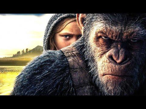 Gorilla New English Movie Hollywood Movie Latest English Movie Full HD 