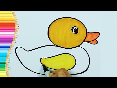 صفحات التلوين كيفية رسم بطة تعلم الرسم و التلوين تلفزيون الاطفال Arabic 