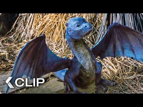 Feeding A Dragon Movie Clip Eragon 2006 