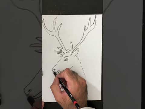 تعليم رسم وجه ذكر الغزال البري Teaching Drawing The Face Of A Male Wild Deer 