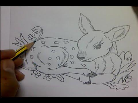 رسم غزال صغير تعلم الرسم بالرصاص للمبتدئين بطريقة سهلة و بسيطة و خطوة بخطوة 