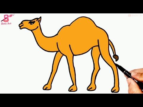 رسم جمل خطوة بخطوة للمبتدئين تعلم كيف ترسم جمل Camel 