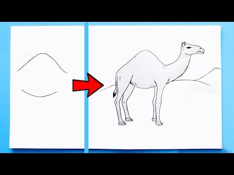 How To Draw A Camel Easy Step By Step Easy Camel Drawing 