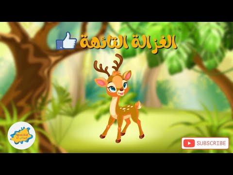 قصة الغزالة الضائعة، قصص اطفال اسفنجي، قصص اطفال، قصص عربية، قصص اطفال قبل النوم 