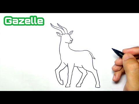How To Draw Gazelle Step By Step 