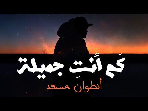 Antoine Massaad Kam Anti Jamila Official Lyrics Video انطوان مسعد ك م أنت جميلة 