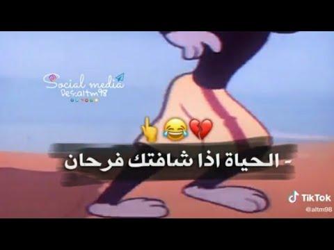 إذا رأتك الحياة سعيدة، حالات واتس اب، قصص لونية، جاهزة للتصميم بدون حقوق 