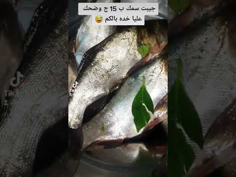 احظر السمك السيلفر في السوق اوعي تشترية بجنية لان مليان شوك 