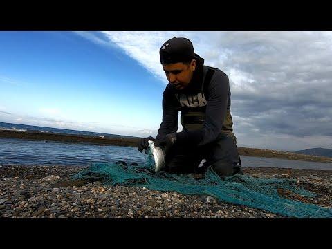 لأول مرة على اليوتوب المغربي صيد سمك القاروص بشبكة الطراحة وإرجاع كل الأسماك 