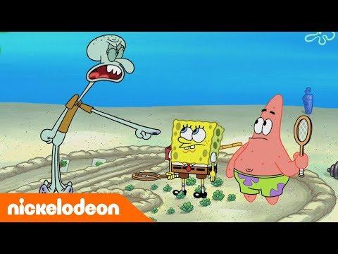 SpongeBob Nickelodeon Arabia سبونج بوب حب الجيران 