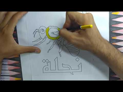 رسومات سهلة وبسيطة للنحلة صانعة العسل الجميلة. تلوين النحل 