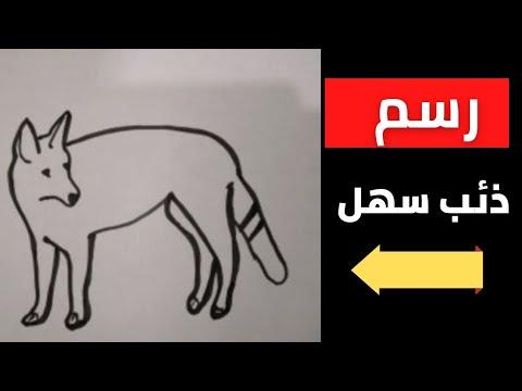 رسم ذئب سهل للاطفال How To Draw Fox 