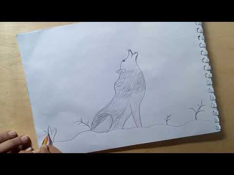 تعليم الرسم كيف ترسم ذئب بالقلم بالرصاص بكل سهوله Drawing An Easy Wolf In Pencil 