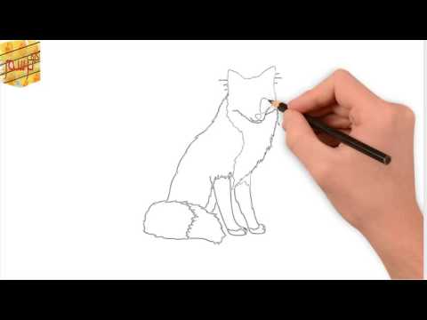 كيف ترسم ذئب بسهولة How To DrawWolf Easily 