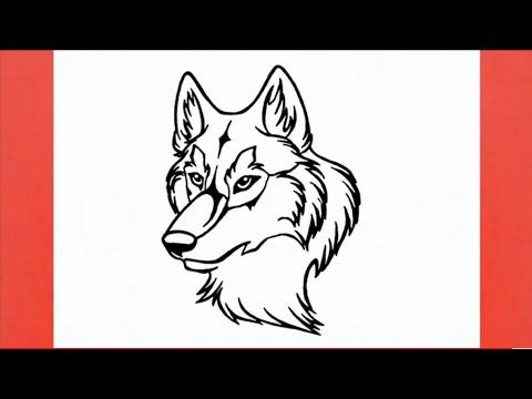 رسم سهل كيفية رسم ذئب بطريقة سهلة خطوة بخطوة رسم بالرصاص تعليم الرسم 