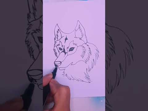 كيفية رسم ذئب سهل خطوة بخطوة 